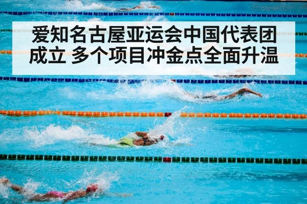 爱知名古屋亚运会中国代表团成立 多个项目冲金点全面升温
