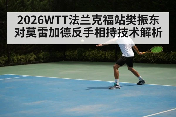 2026WTT法兰克福站樊振东对莫雷加德反手相持技术解析